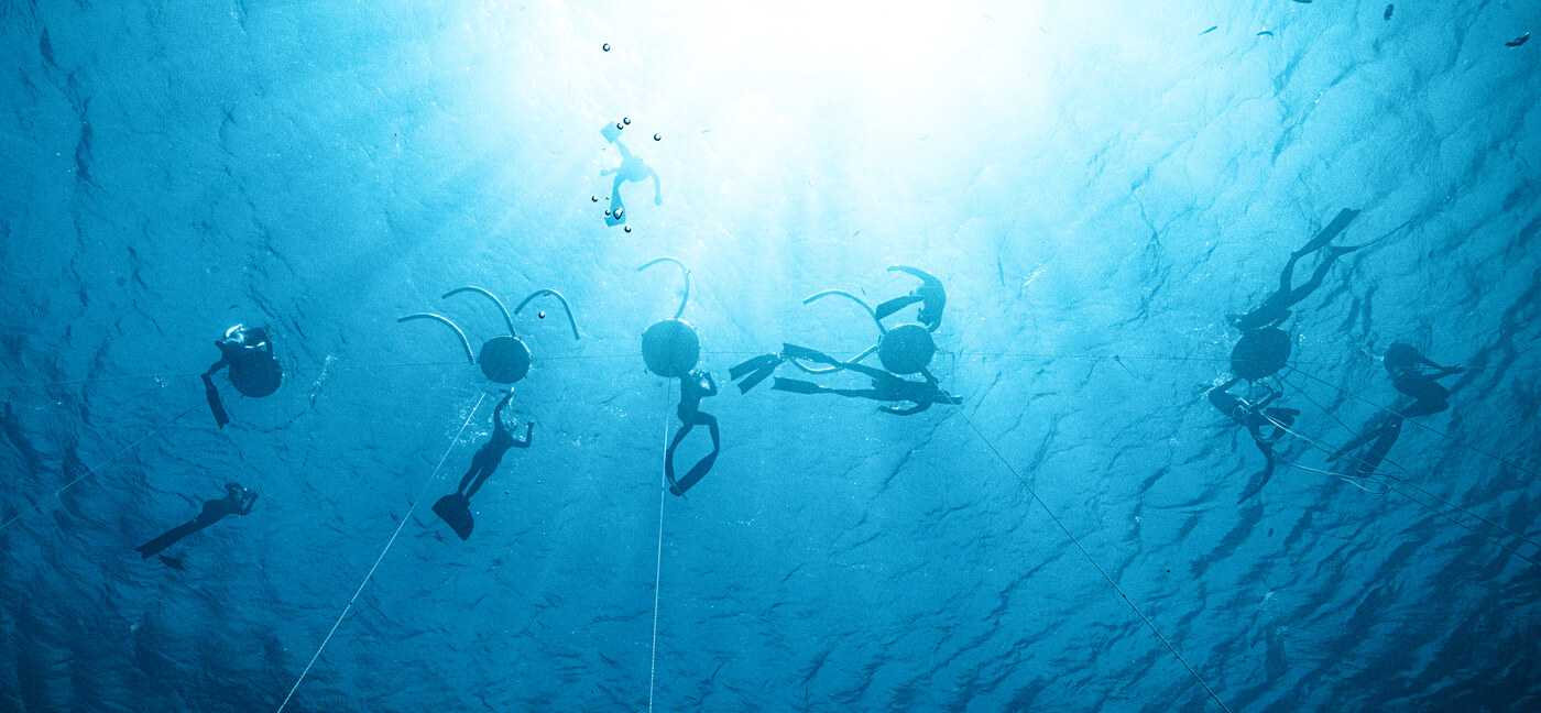 Choosing Your First Wetsuit for Dahab's Waters